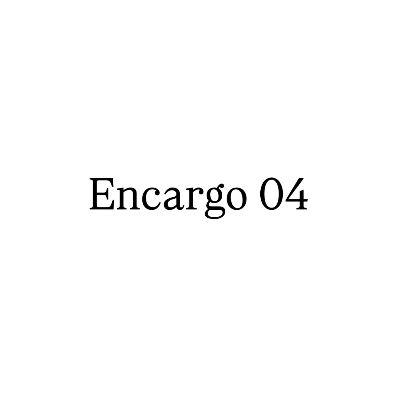 Encargo 04