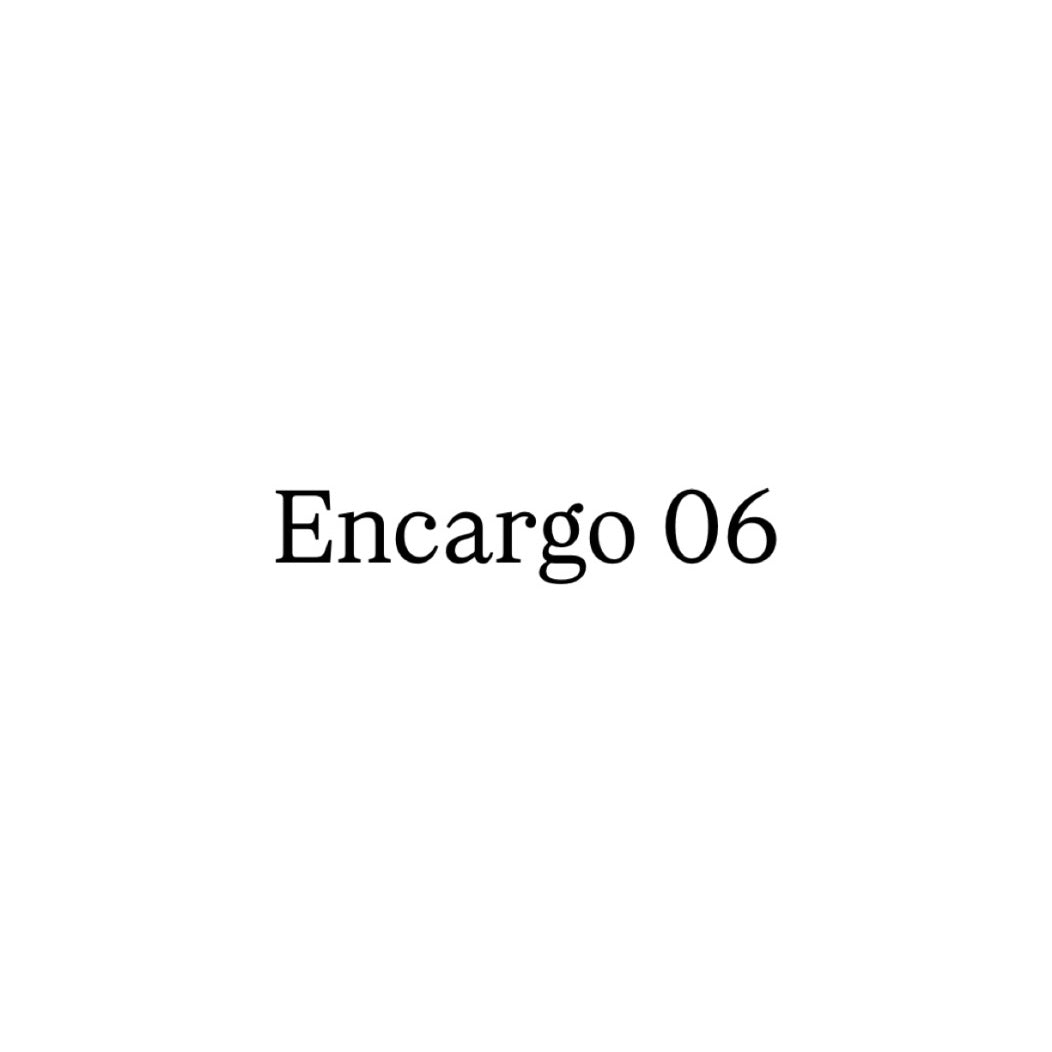Encargo 06