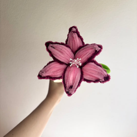 Flor Lirio Morado y Rosa Limpiapipas