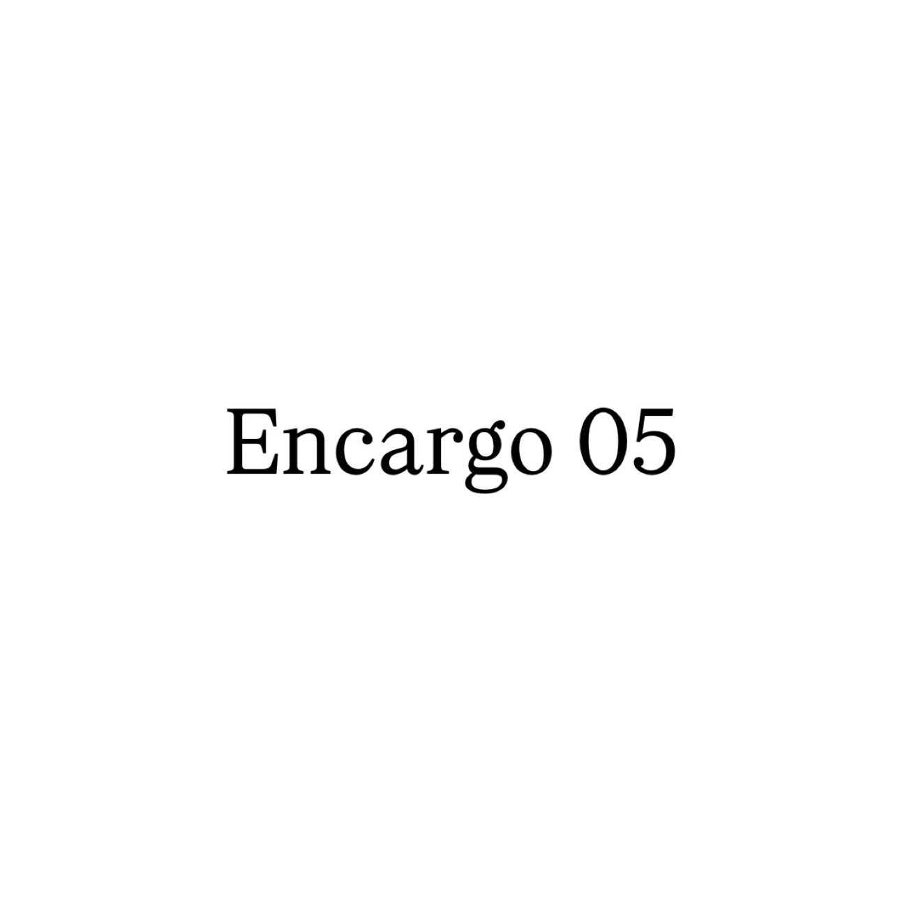 Encargo 05