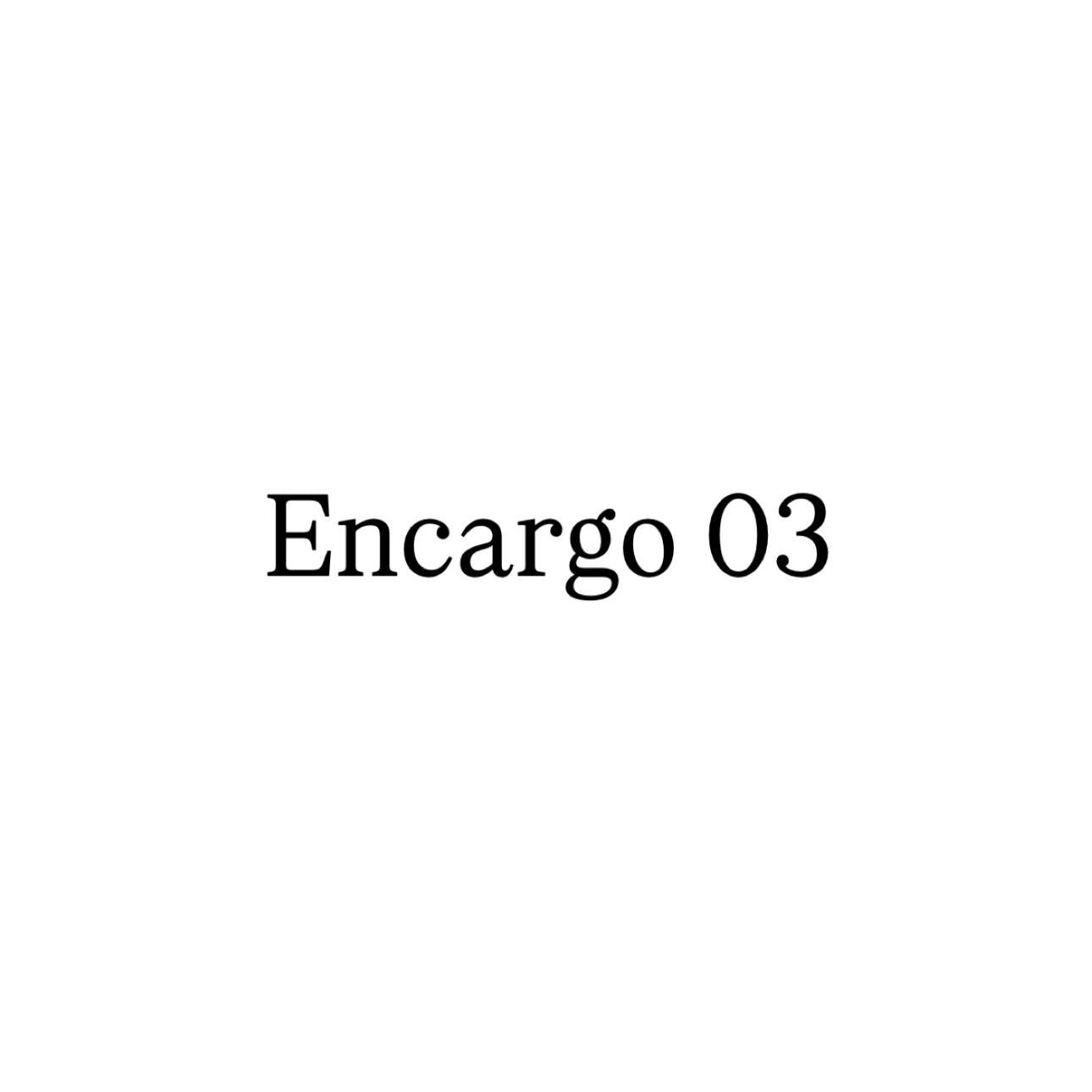 Encargo 03