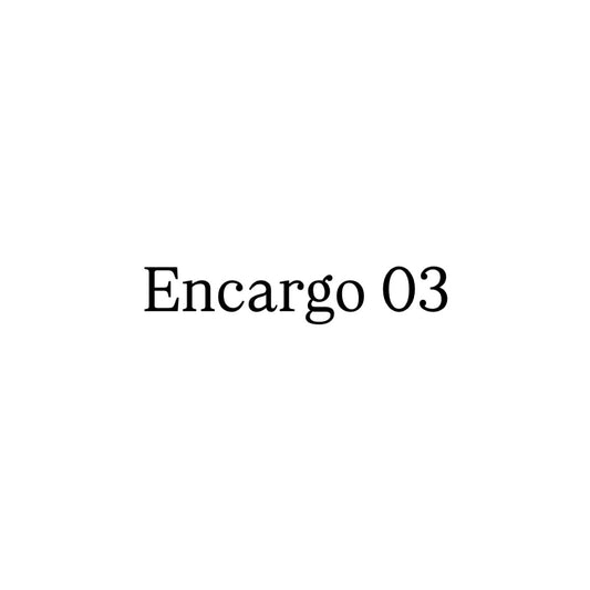Encargo 03