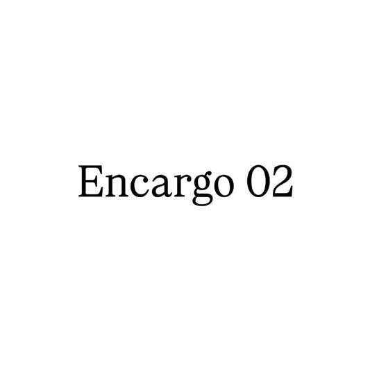Encargo 02