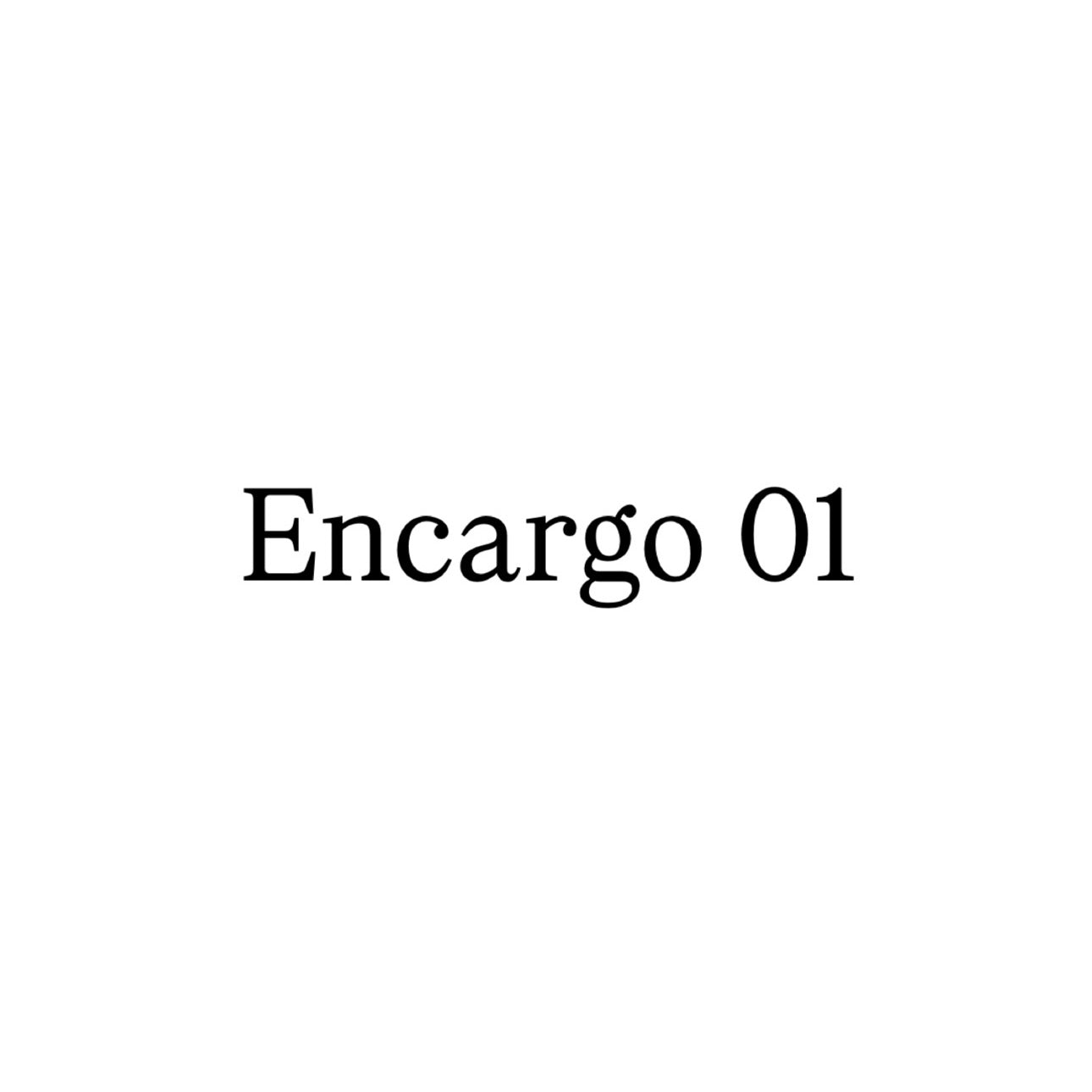 Encargo 01